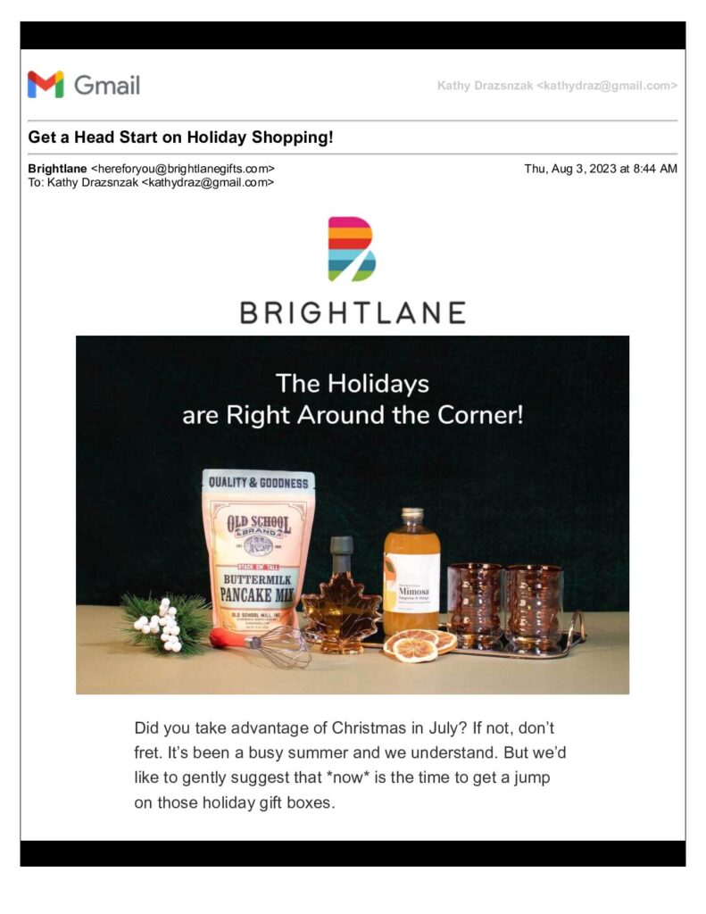 Brightlane Holiday Newsletter snapshot